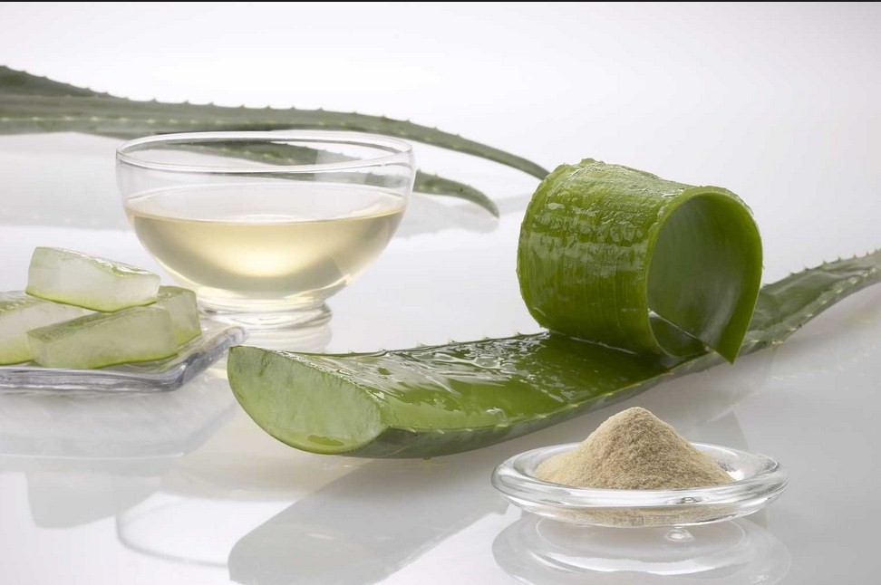 What Are The Benefits Of Aloe Vera For The Skin